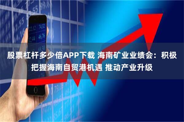 股票杠杆多少倍APP下载 海南矿业业绩会：积极把握海南自贸港机遇 推动产业升级